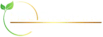 MSO GROUP INC